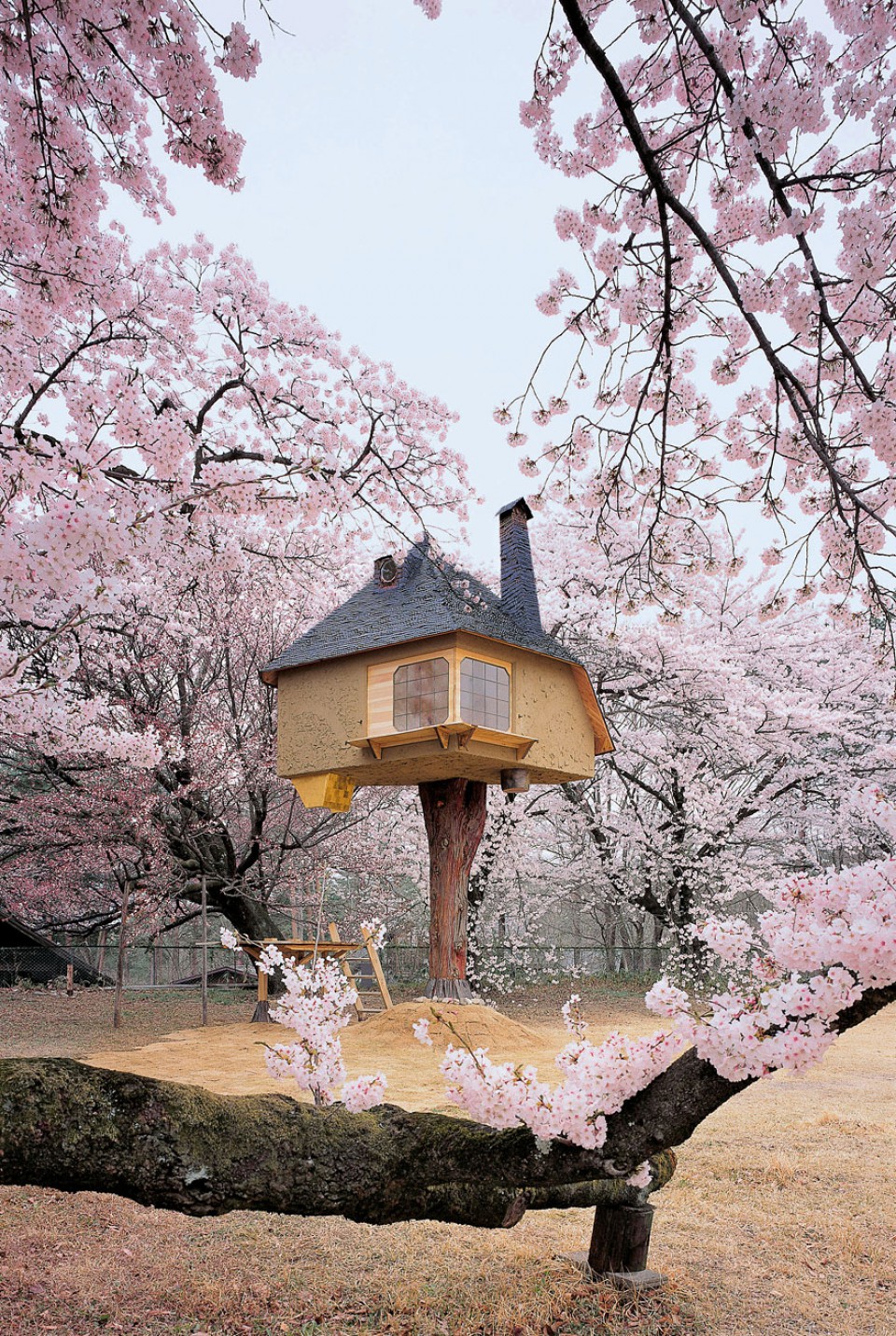 Teahouse Tetsu, Rumah Pohon